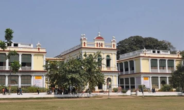 पटना कॉलेज में सांप देख मचा हड़कंप, रेस्क्यू टीम ने 1 घंटे की मशक्कत के बाद पकड़ा