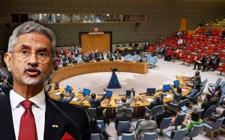 UNSC की स्थायी सीट से पहले भारत का बड़ा दांव: 2028-29 के लिए अस्थायी सदस्यता की तैयारी क्यों?