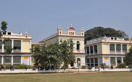 पटना कॉलेज में सांप देख मचा हड़कंप, रेस्क्यू टीम ने 1 घंटे की मशक्कत के बाद पकड़ा
