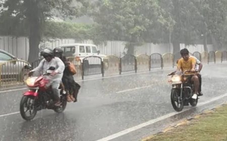 झारखंड में 13 जुलाई तक भारी बारिश का अलर्ट, 14-15 को वज्रपात की चेतावनी...