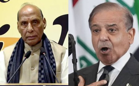 एक स्पेलिंग की गलती और ट्रोल हो गया पाकिस्तान...'Rogue' लिखने की जगह लिख दिया 'Rouge'