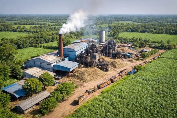 Bihar Sugar Portal Launch: नई चीनी मिल पर 70 करोड़ सब्सिडी + 5 साल GST छूट, 25 नई मिलों का टारगेट