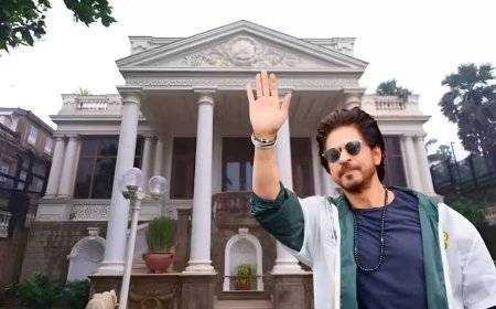 SRK के बंगले 'मन्नत' में घुसे 8 फीट के सांप: एक रेस्क्यू, दूसरा अब भी लापता