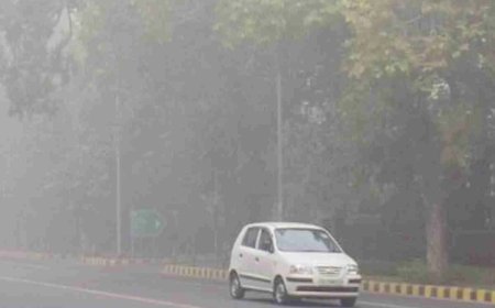 NCR में प्रदूषण पर योगी सरकार का एक्शन मोड, उद्योगों पर होगी सख्त कार्रवाई, पराली जलाने पर बढ़ेगी निगरानी