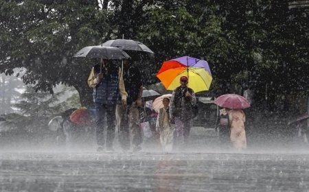 Bihar Weather Alert: मानसून फिर सक्रिय, सुपौल-अररिया में भारी बारिश का अलर्ट, 13 जिलों में तेज बरसात