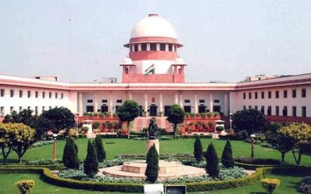  दिल्ली सत्य निकेतन बिल्डिंग हादसा - 5 मंजिला इमारत गिरने का केस हाईकोर्ट से सुप्रीम कोर्ट ट्रांसफर होगा, 7 की मौत के बाद एक्शन तेज