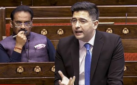 IPU सम्मेलन में राघव चड्ढा ने रखा भारत का पक्ष, UPI और डिजिटल एक्सेस को बताया दुनिया के लिए मॉडल