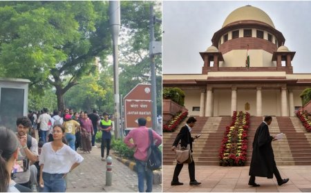 जंतर-मंतर पर अब प्रदर्शन नहीं, फैसले को सुप्रीम कोर्ट में चुनौती, याचिका में कहा - मौलिक अधिकारों पर हमला