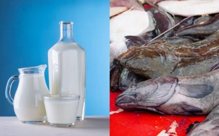  Khoya, Paneer, Meat, Fish खुले में ले जाने पर होगी कार्रवाई, FSSAI ने जारी किया सख्त फरमान, Cold Chain तोड़ने पर जब्त होगा सामान